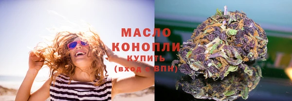 твердый Ивангород