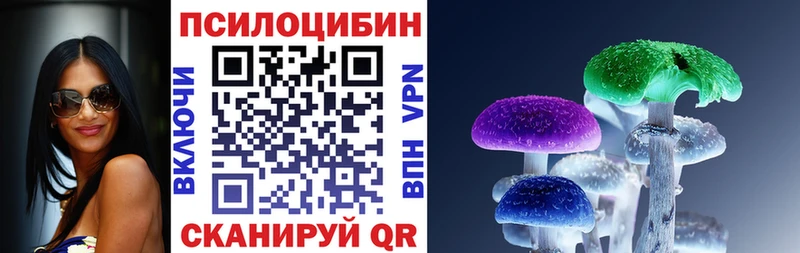 закладки  Красновишерск  mega tor  Псилоцибиновые грибы Psilocybe 